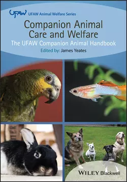 Companion Animal Care and Welfare. The UFAW Companion Animal Handbook, James Yeates