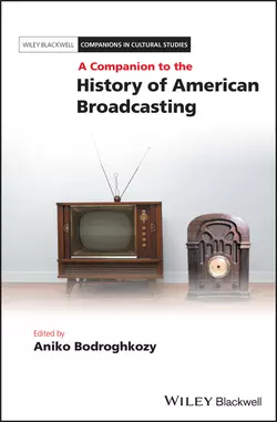 A Companion to the History of American Broadcasting, Aniko Bodroghkozy