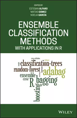 Ensemble Classification Methods with Applications in R, Esteban Alfaro