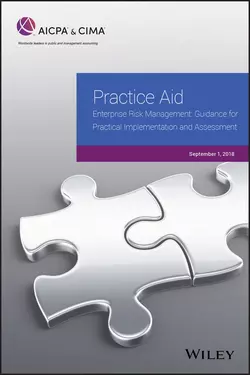 Practice Aid: Enterprise Risk Management: Guidance For Practical Implementation and Assessment, 2018, AICPA