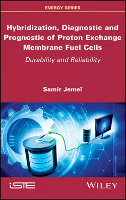 Hybridization, Diagnostic and Prognostic of PEM Fuel Cells. Durability and Reliability, Samir Jemei