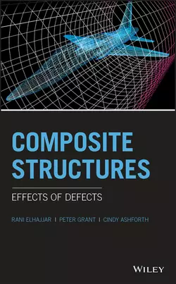 Composite Structures. Effects of Defects, Rani Elhajjar