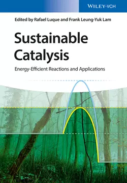 Sustainable Catalysis. Energy-Efficient Reactions and Applications, Rafael Luque