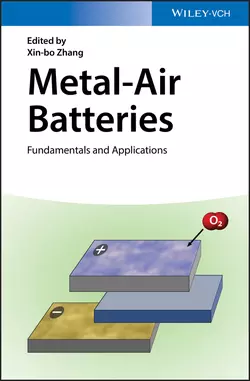 Metal-Air Batteries. Fundamentals and Applications, Xin-bo Zhang