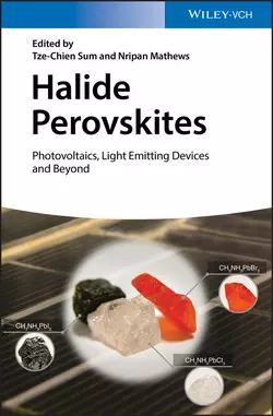 Halide Perovskites. Photovoltaics, Light Emitting Devices, and Beyond, Nripan Mathews