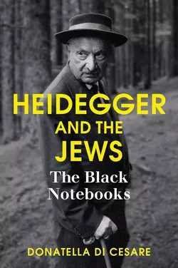 Heidegger and the Jews. The Black Notebooks, Donatella Cesare