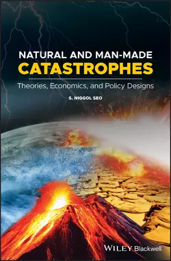 Natural and Man-Made Catastrophes. Theories, Economics, and Policy Designs, S. Seo