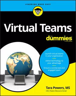 Virtual Teams For Dummies, Dummies Press