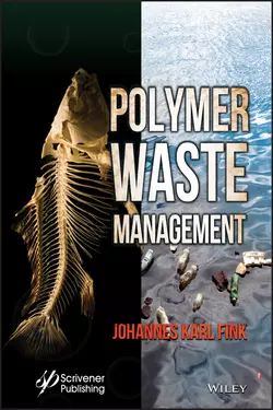 Polymer Waste Management Johannes Fink