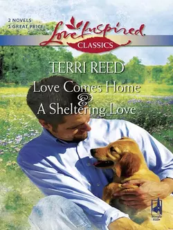 Love Comes Home and A Sheltering Love: Love Comes Home / A Sheltering Love, Terri Reed