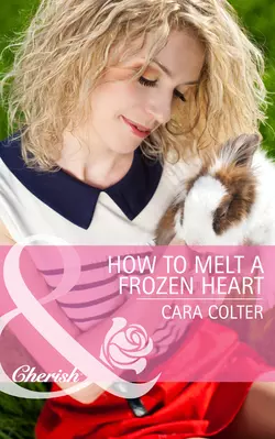 How to Melt a Frozen Heart, Cara Colter