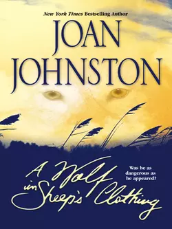 A Wolf In Sheep′s Clothing Joan Johnston