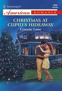 Christmas At Cupid′s Hideaway, Connie Lane