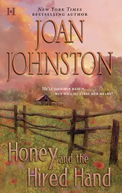 Honey and the Hired Hand, Joan Johnston