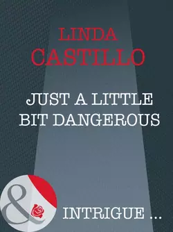 Just A Little Bit Dangerous, Linda Castillo