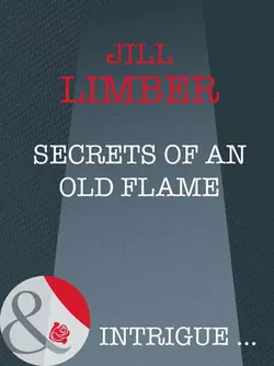 Secrets Of An Old Flame Jill Limber