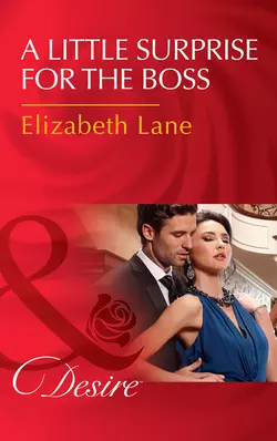 A Little Surprise For The Boss, Elizabeth Lane