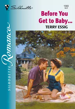 Before You Get To Baby... Terry Essig