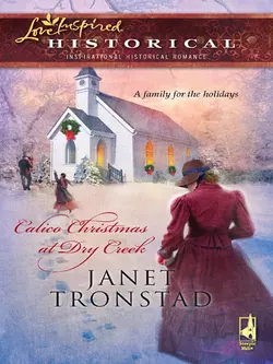 Calico Christmas at Dry Creek, Janet Tronstad