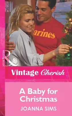 A Baby For Christmas, Joanna Sims