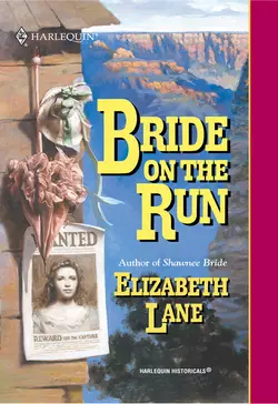 Bride On The Run Elizabeth Lane