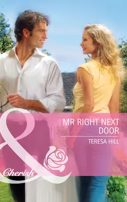 Mr Right Next Door, Teresa Hill