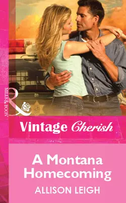 A Montana Homecoming, Allison Leigh