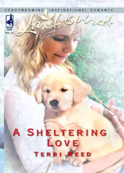 A Sheltering Love Terri Reed