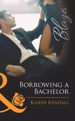 Borrowing a Bachelor Karen Kendall