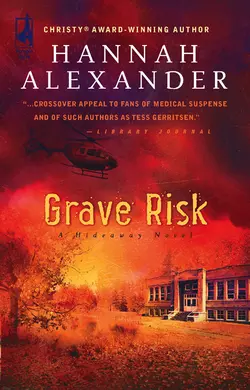 Grave Risk, Hannah Alexander