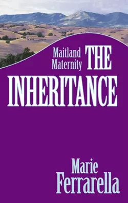 The Inheritance Marie Ferrarella