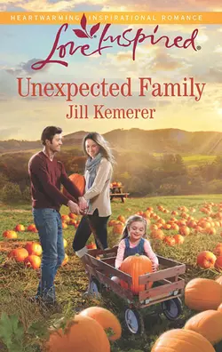 Unexpected Family Jill Kemerer