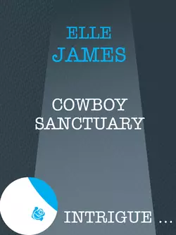 Cowboy Sanctuary, Elle James