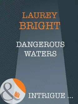 Dangerous Waters Laurey Bright