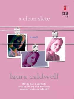 A Clean Slate, Laura Caldwell