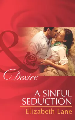 A Sinful Seduction, Elizabeth Lane