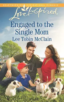 Engaged to the Single Mom, Lee McClain