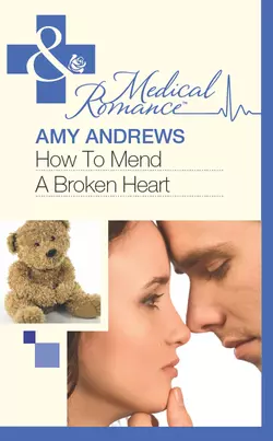 How To Mend A Broken Heart, Amy Andrews