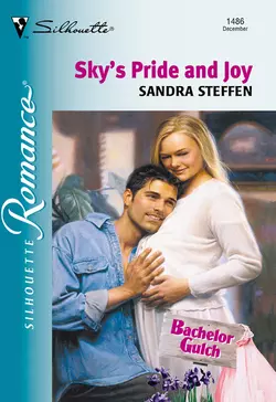 Sky′s Pride And Joy, Sandra Steffen