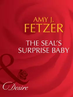 The Seal′s Surprise Baby, Amy Fetzer