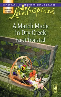 A Match Made in Dry Creek, Janet Tronstad