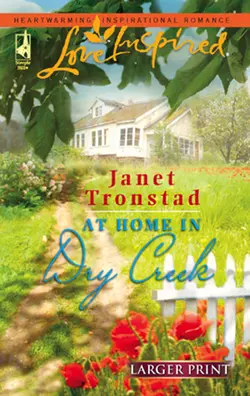 At Home in Dry Creek, Janet Tronstad