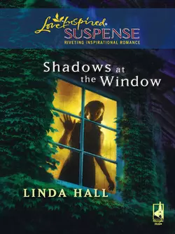 Shadows At The Window Linda Hall