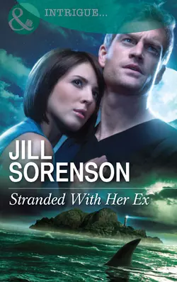 Stranded With Her Ex Jill Sorenson