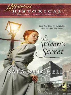 The Widow′s Secret, Sara Mitchell