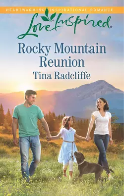 Rocky Mountain Reunion Tina Radcliffe