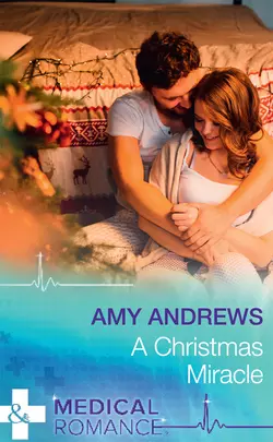 A Christmas Miracle, Amy Andrews