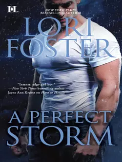 A Perfect Storm Lori Foster