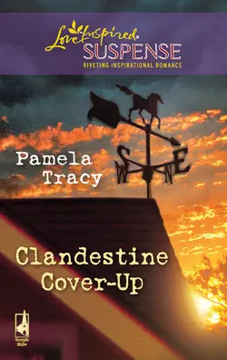 Clandestine Cover-Up Pamela Tracy