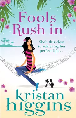 Fools Rush In, Kristan Higgins